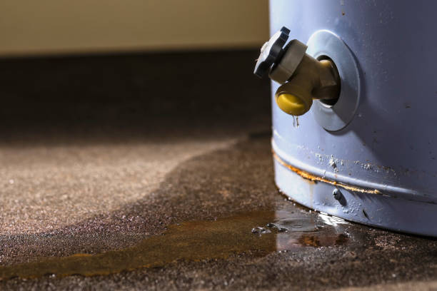 Best Water damage restoration specialists  in Capitol View, SC