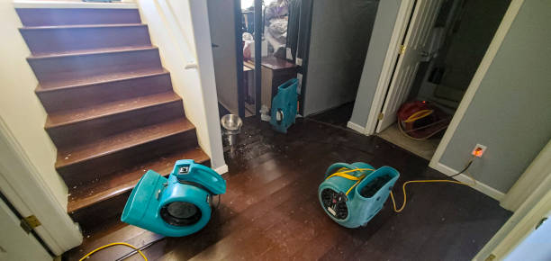 Best Mold removal after water damage  in Capitol View, SC