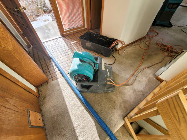 Best Residential water damage restoration  in Capitol View, SC