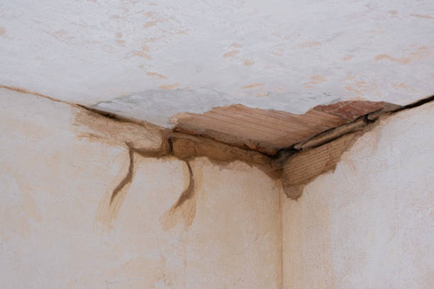 Capitol View, SC Water damage restoration Company