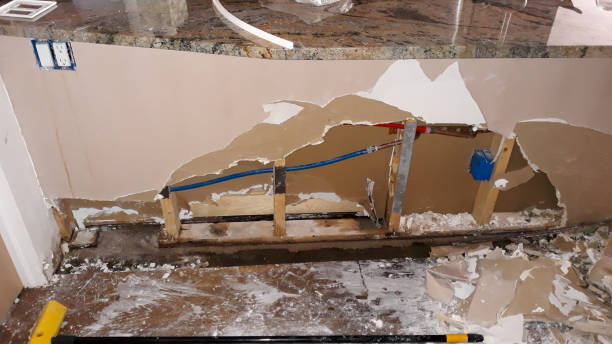 Best Water damage restoration near me  in Capitol View, SC