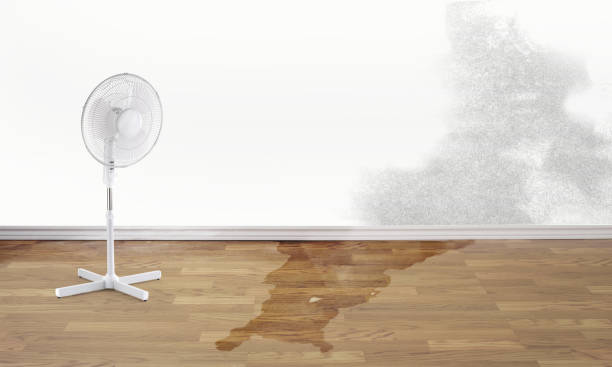 Best Emergency water damage restoration  in Capitol View, SC
