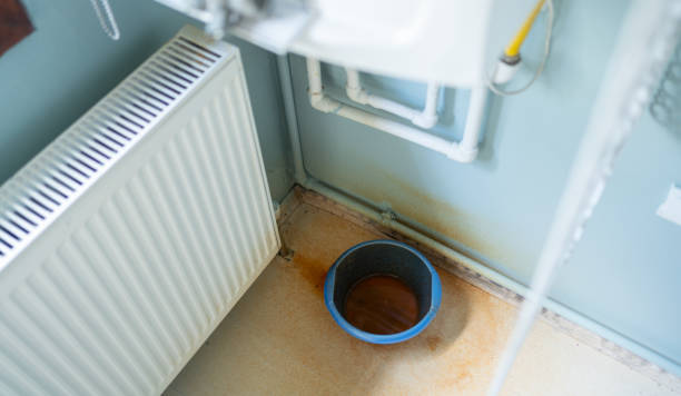 Best 24/7 water damage repair  in Capitol View, SC