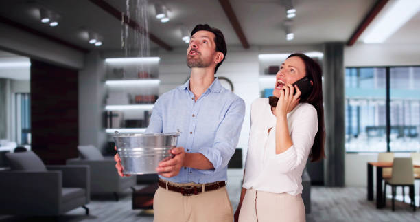 Best Flood restoration services  in Capitol View, SC
