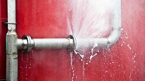 Best Flooded house restoration  in Capitol View, SC